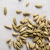 Traditional Mulled Wine 10 Cardamom pods - Ingredients - COOKMAISON