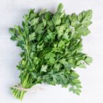 coriander