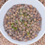 Lentils & Lardons Stew 4 Green lentils - Ingredients - COOKMAISON